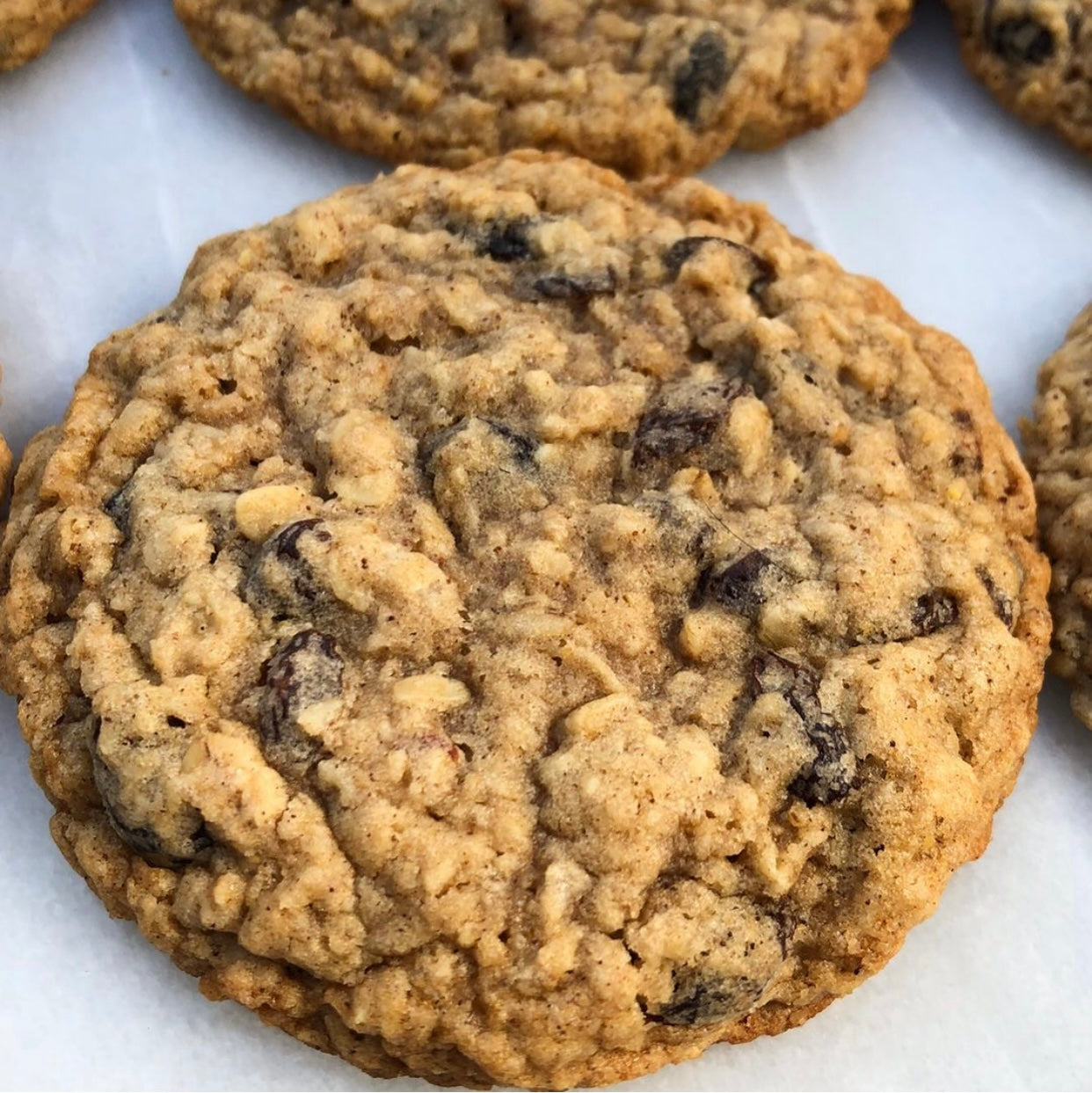 Oatmeal Raisin 6 Count